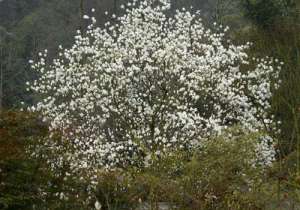 会花钱是师傅